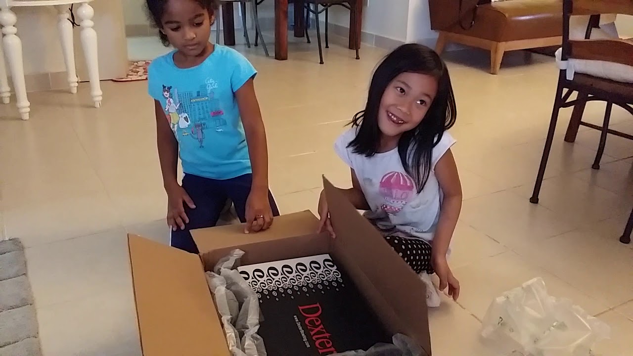 Dexter mens Dave bowling shoes grey unboxing