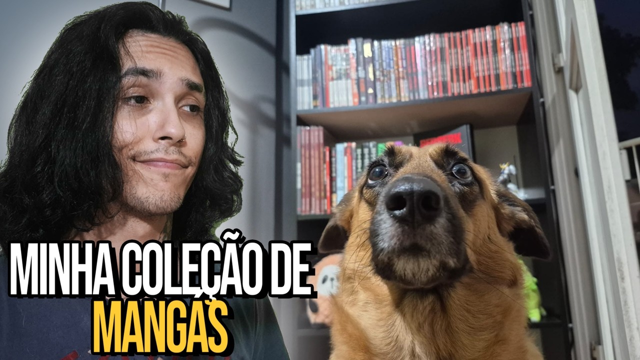 Minha Coleção ÉPICA de Mangás (atualizada 2027)