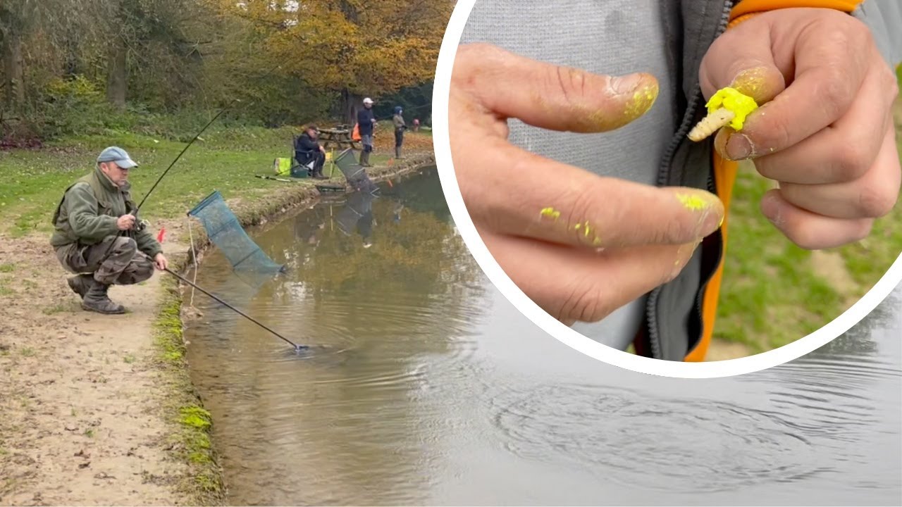 Journée de pêche à la Truite à la Fermeture des Étangs de Cilly (part 2)