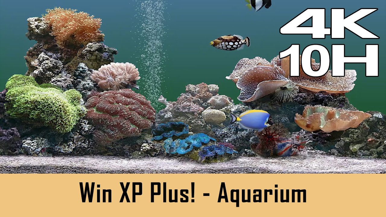 Windows XP Plus! Screensaver - Aquarium 2001 - 10 HOURS (4K)