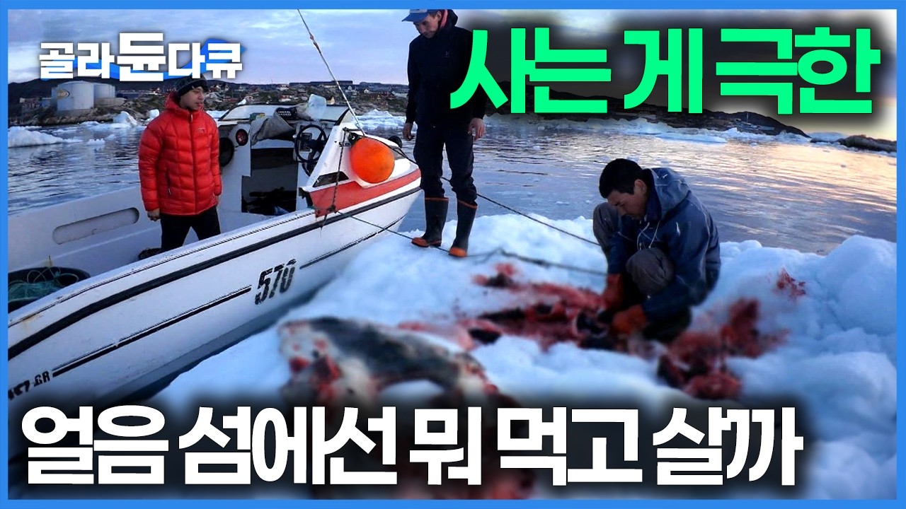 말 그대로 생존 사냥, 물리면 바로 잘린다. 빙하 아래서 건져올린 기절초풍한 사이즈 괴어의 정체｜그린란드｜세계테마기행｜#골라듄다큐