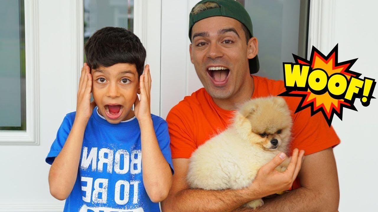Bermain Petak Umpet dengan Anjing dan Jason 😍 Video lucu untuk anak-anak