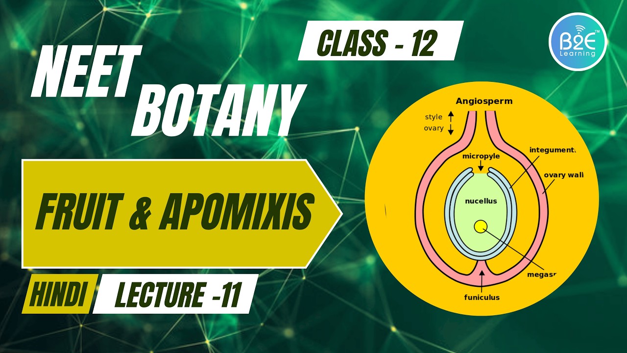 Fruit Formation & Apomixis | Lecture 11 | Class 12 Biology |CBSE and NCERT| NEET 2025 | B2E Learning