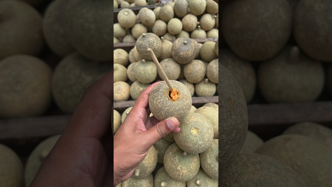 UNIQUE Masala Wood Apple of Bangladesh #shorts #woodapple #trending #foryou