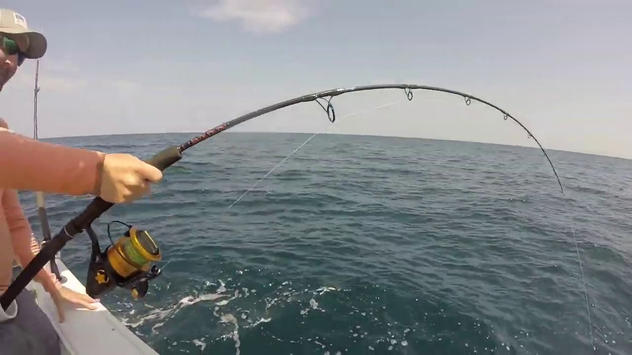First Amberjack on Penn Spinfisher 10500 || Sethwentfishin