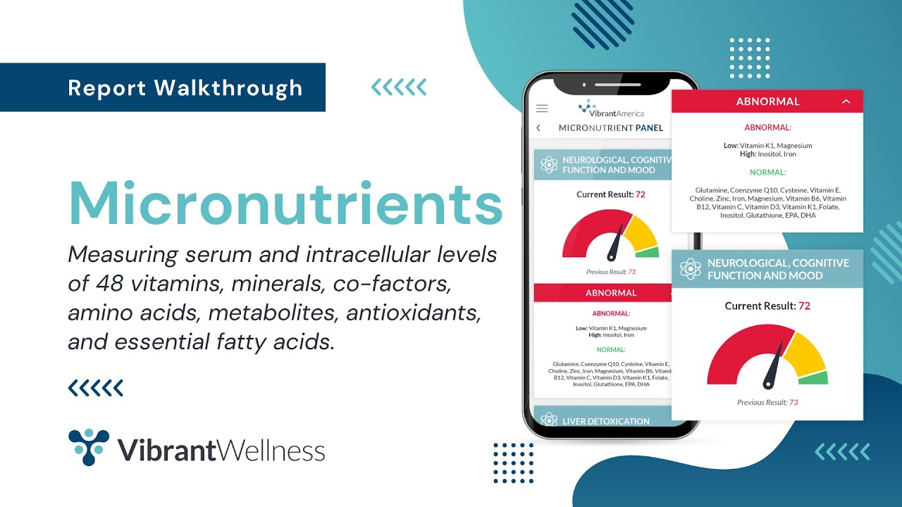 Vibrant's Micronutrient - Report Walkthrough