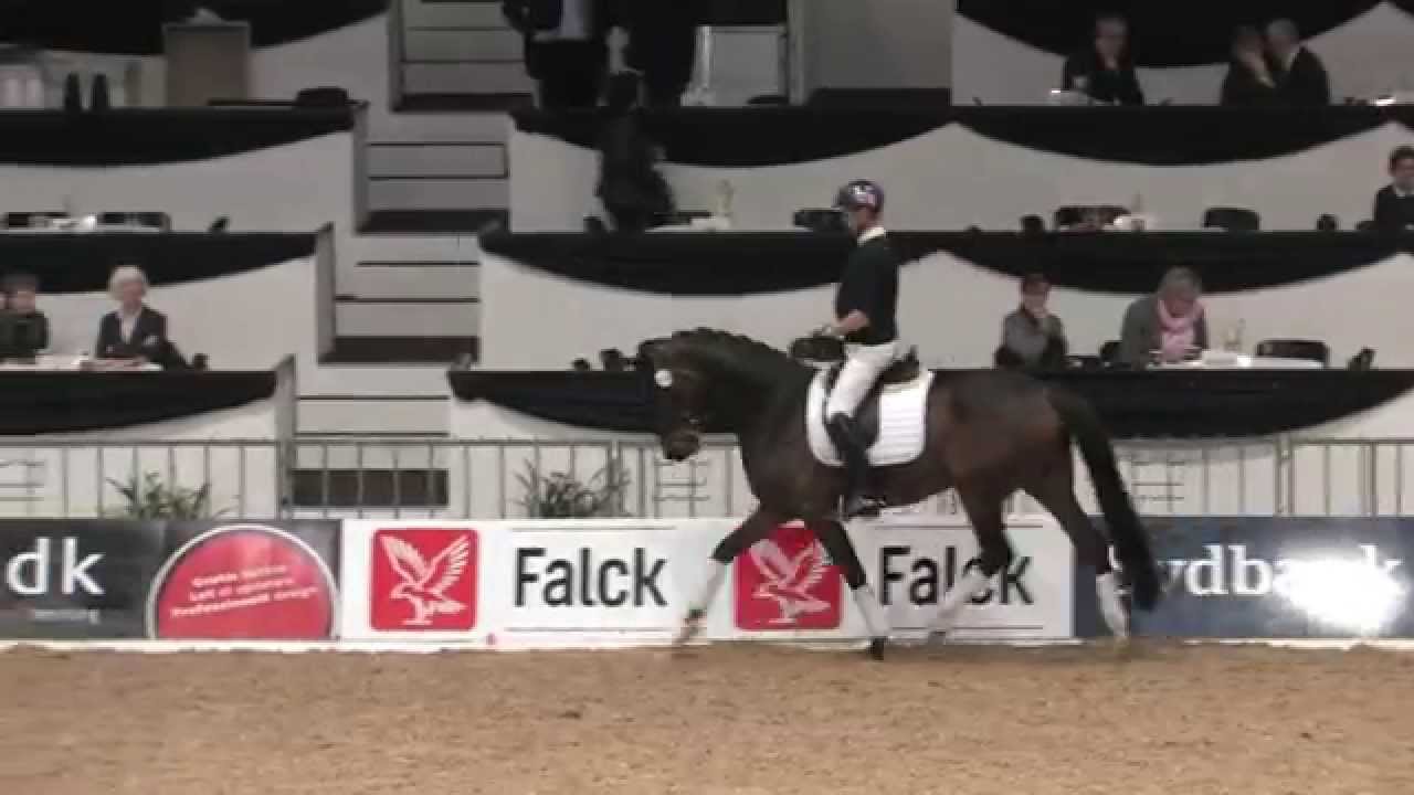 Danish Warmblood Young Horse Championship 2014 - Carl Hester testing Vanja H&oslash;jris