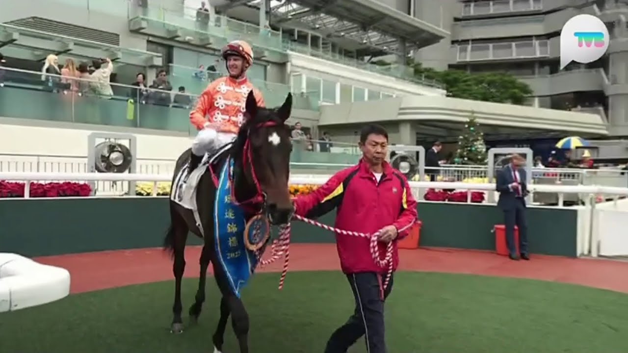 2025 洋紫荊短途錦標 Bauhinia Sprint Trophy G3 - 嫡愛心 (Howdeepisyourlove) [H093] - 潘頓 (Z.Purton)