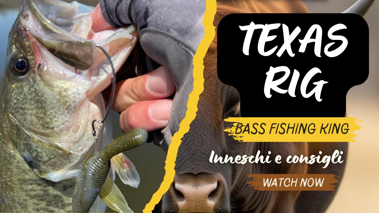 TEXAS RIG - IL RE DEL BASS FISHING