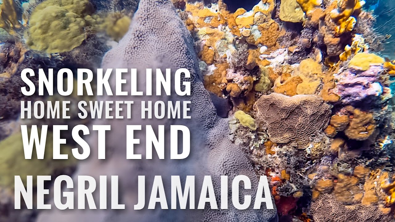 Snorkeling NEGRIL, JAMAICA West End at Home Sweet Home Resort [4K]
