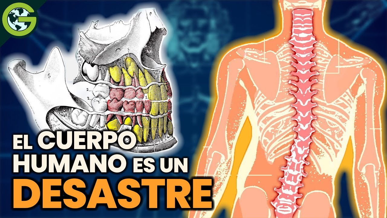 ¿Por qué el CUERPO HUMANO es un DESASTRE? 🦷