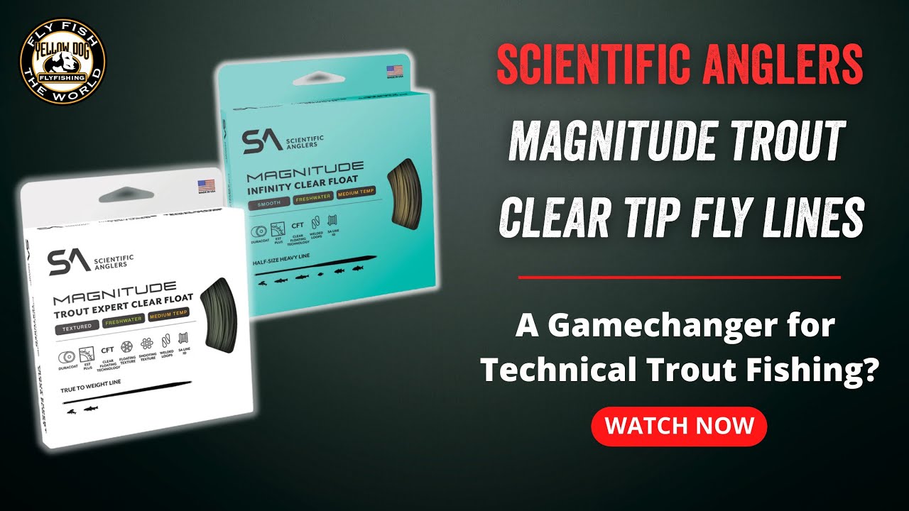 Scientific Anglers Magnitude Trout Review | A Gamechanger for Freshwater Fly Lines?