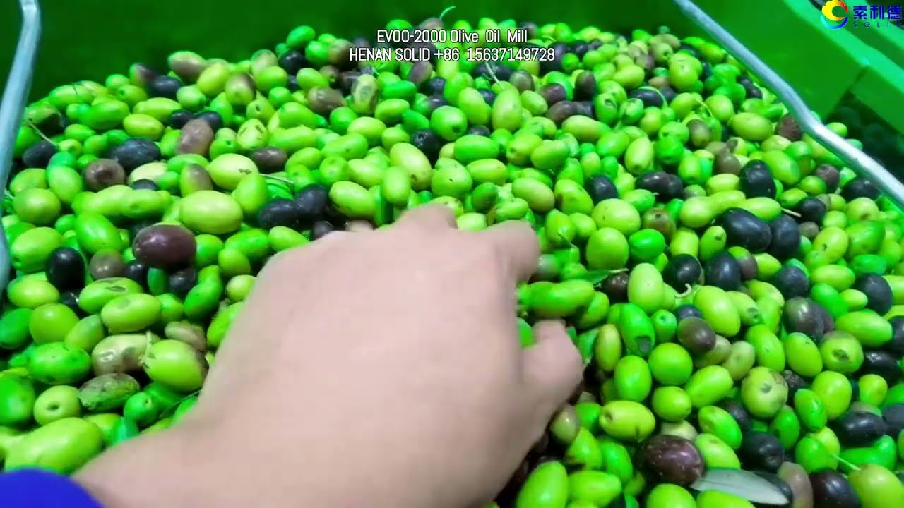 Olive Oil Mill