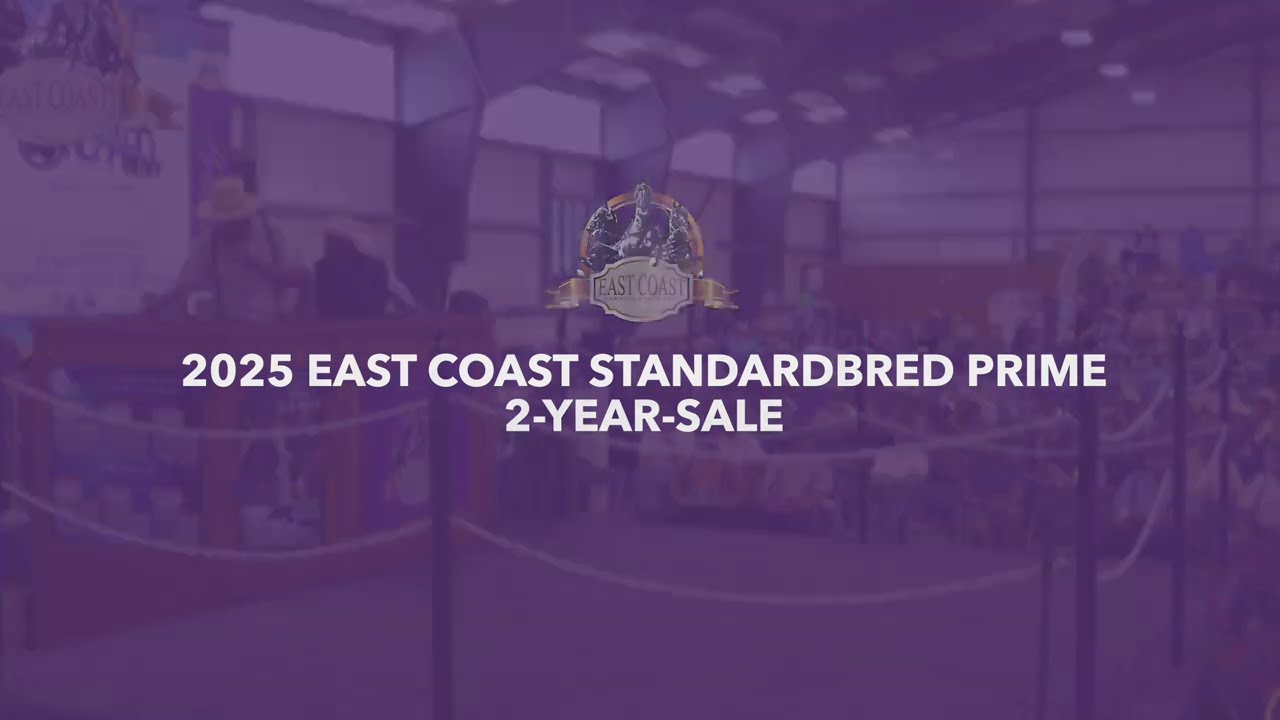 2025 East Coast Standardbred Prime 2-Year-Old Sale | AuctionPro