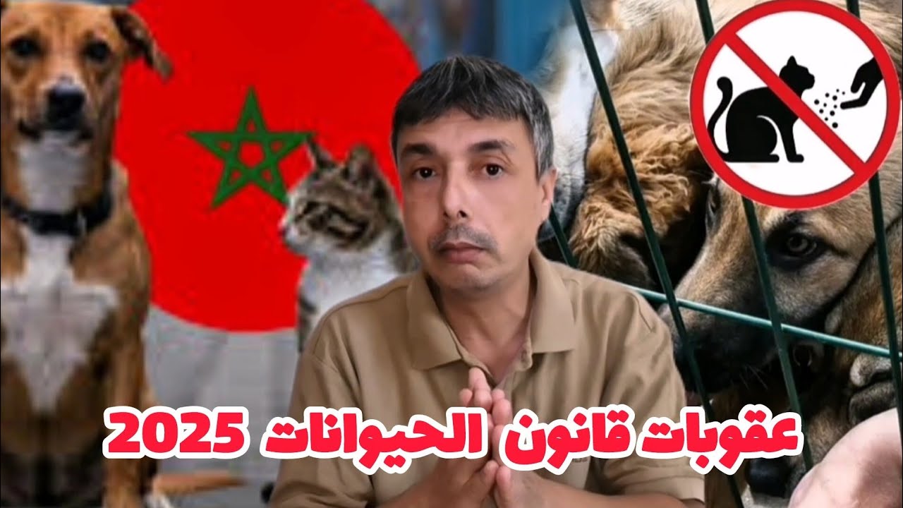 قانون الحيوانات الجديد التفاصيل و عقوبات و غرامات كبيرة للمخالفين