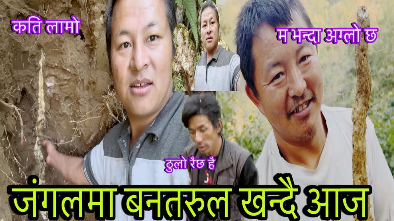 जंगलमा बनतरुल खनेको आज | Jungalma bantarul khaneko aaja hernuhosh #nepal #village 