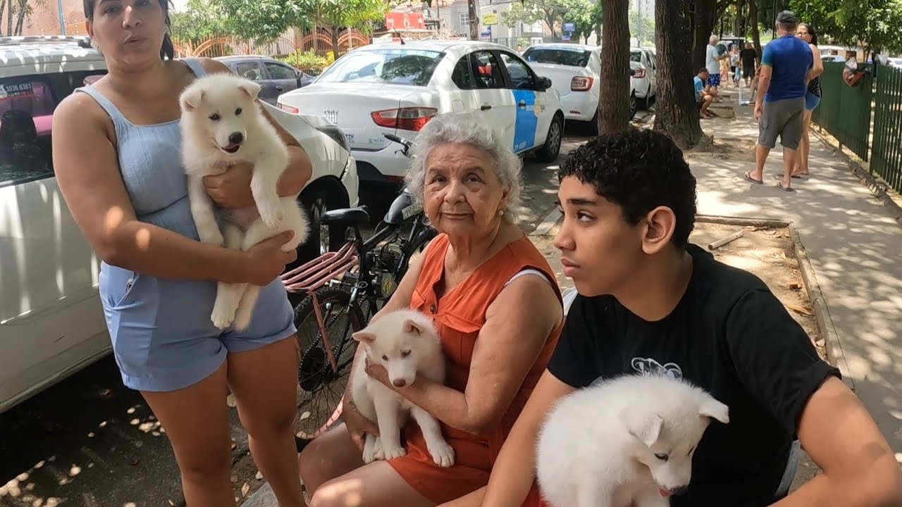 FEIRA DE CACHORRINHOS DE RAÇAS EM PERNAMBUCO MERCADO DA MADALENA 