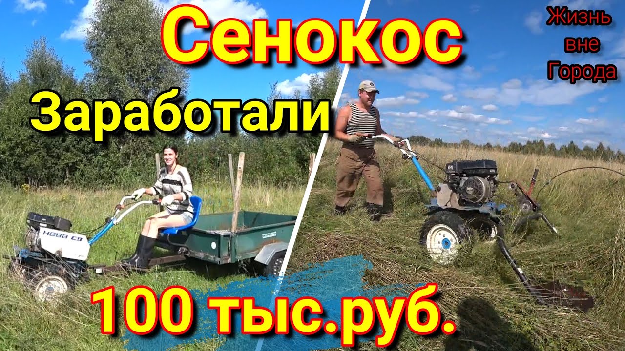 СЕНОКОС МОТОБЛОКОМ или как заработать в деревне?