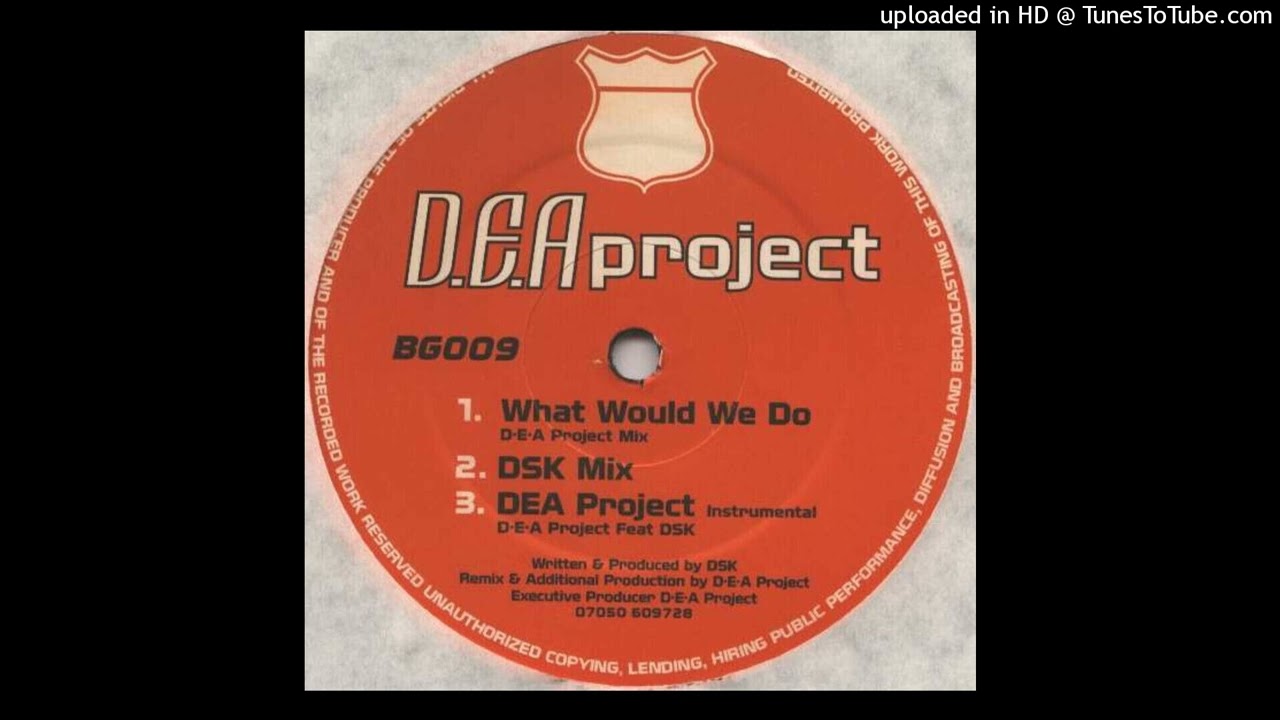 DSK - What Would We Do (DSK Mix)