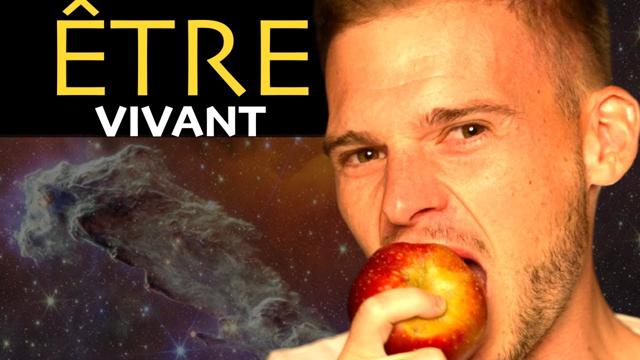 Comment Booster Ton Énergie Vitale Grâce à l'Alimentation ?
