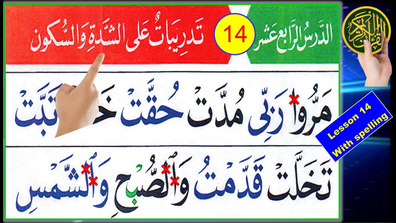 Al Qaida al Nooraniya lesson 14 | Exercise of Shadda and Sukoon | Learn Quran with Tajweed