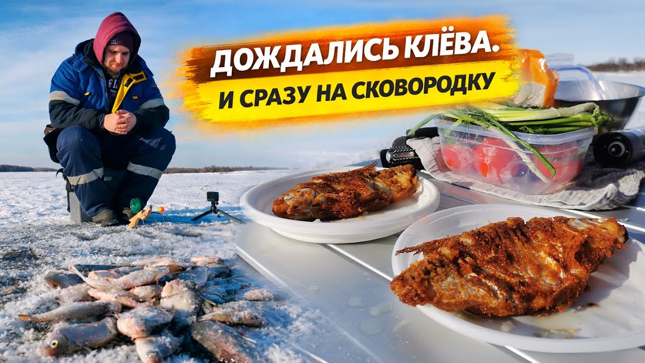 БЕШЕНЫЙ КЛЁВ ГУСТЕРЫ И ЖАРЁХА ПРЯМО НА ЛЬДУ – ЗИМНЯЯ РЫБАЛКА В АСТРАХАНИ