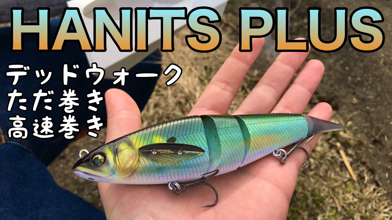 ハニタスプラスが大変良き