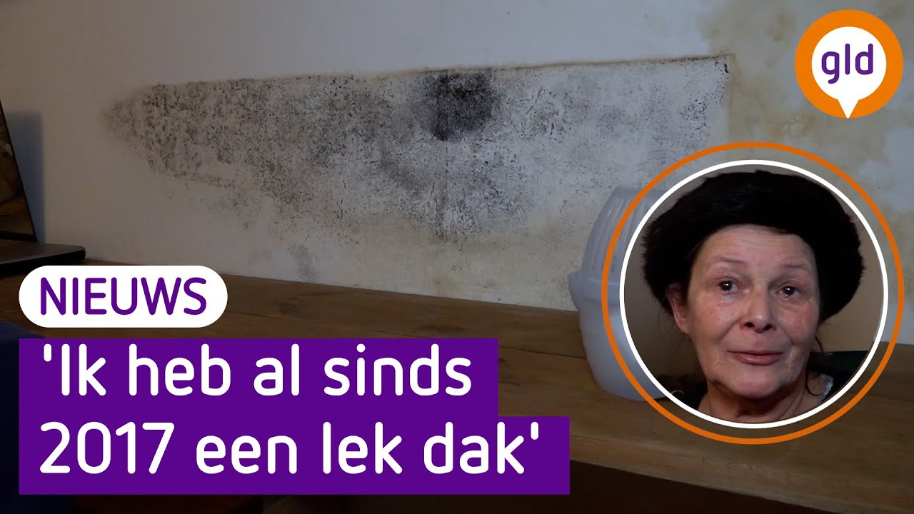 OVERAL SCHIMMEL in deze Arnhemse huizen