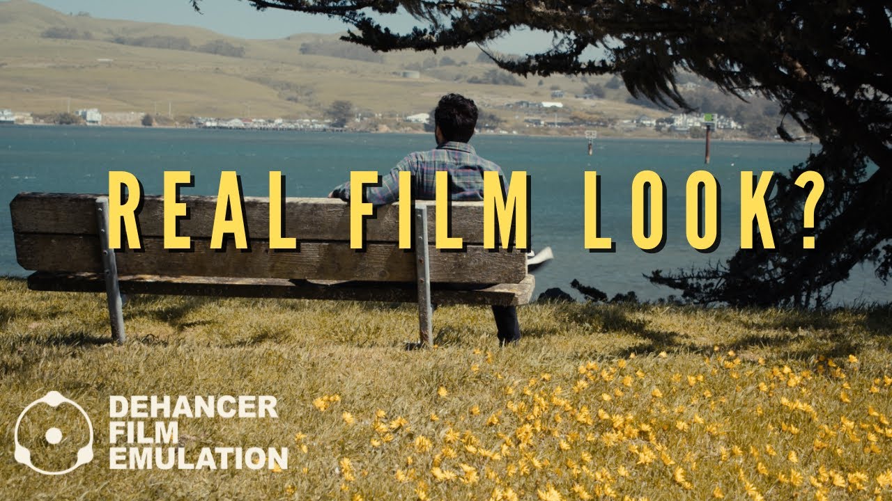 Can Dehancer Take Your Color Grading to the Next Level? (Full Review)