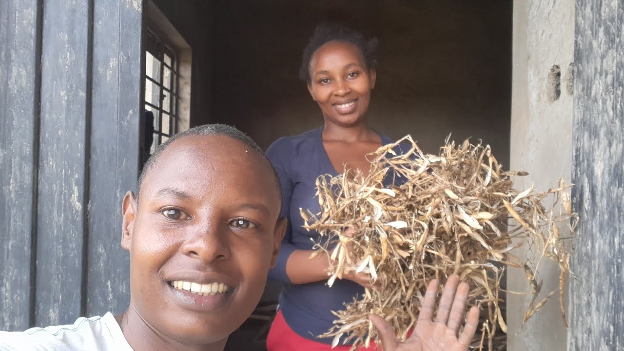 Simple Life as a New Dad | Harvesting, Cooking & Building Our Home.Kenya Africa