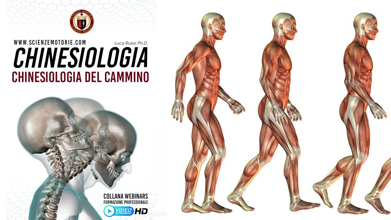 CHINESIOLOGIA del CAMMINO