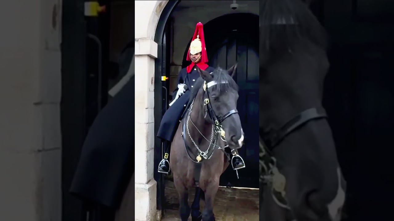 Everyone Thought the New King’s Guard Was Angry… But Wait Till the Last Second 😳💂‍♂️