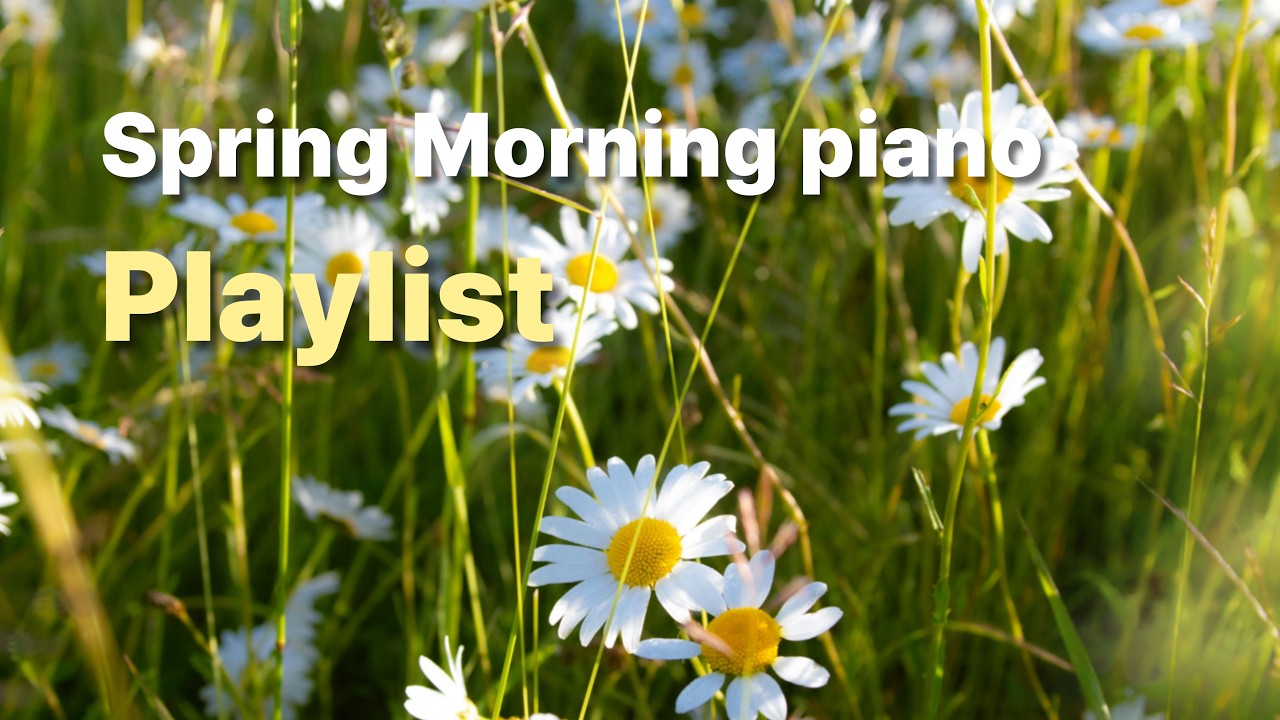 🌼 봄 햇살 같은 피아노 음악 | 카페에서 흐르는 잔잔한 힐링 플레이리스트 (Spring Piano Playlist)