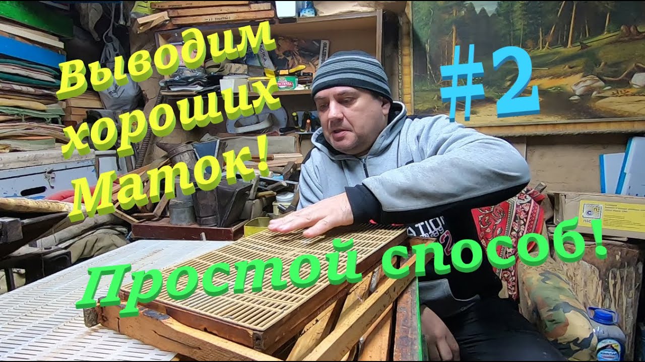 ✅Выводим ПЧЕЛИНЫХ МАТОК хорошего качества для вашей пасеки!! #ПЧЕЛОВОДСТВО2 НАЧИНАЮЩИМ С НУЛЯ!