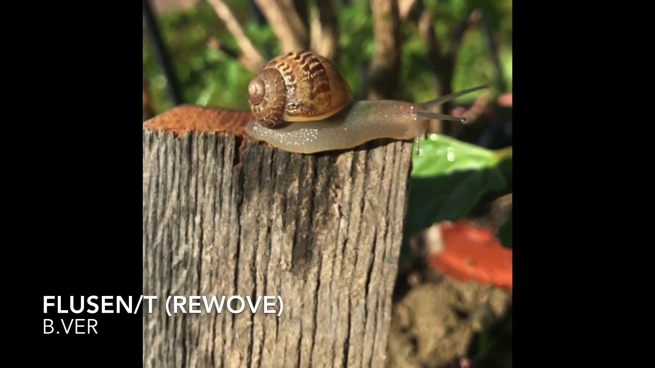 Flusen/t (rewove)