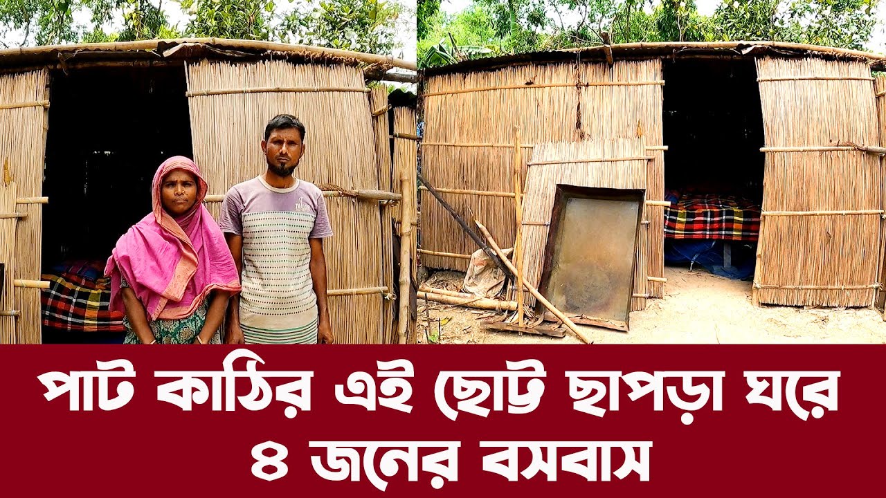 714- পাট কাঠির এই ছোট্ট ছাপড়া ঘরে ৪ জনের বসবাস