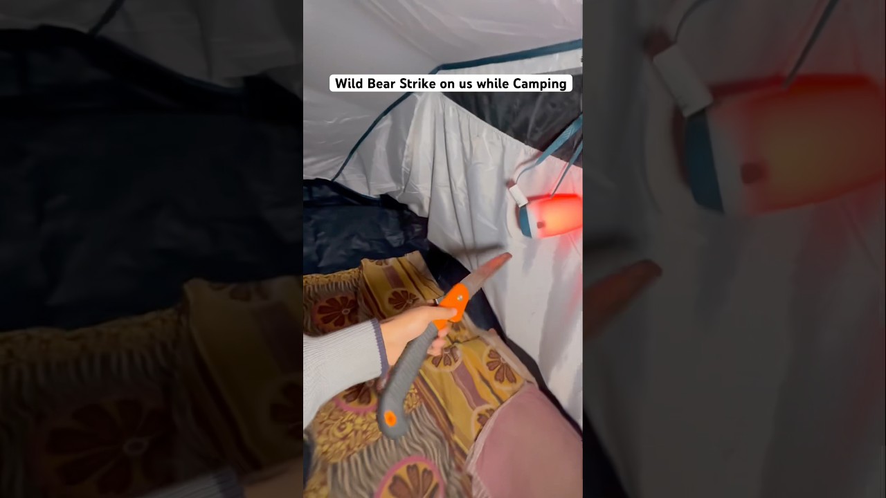 Bear Wild Attack & Visited Our Camping #wildlife#horror#scary#camping #jammukashmir #jammu