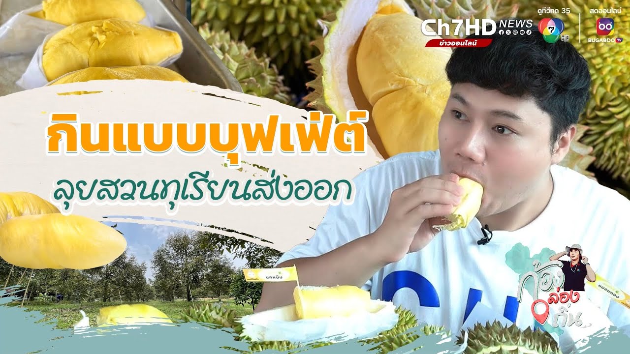 บุกสวนทุเรียนเกรดส่งออก กินจุกๆ แบบบุฟเฟต์ | ก้องล่องถิ่น