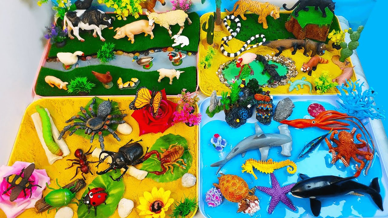 Huge 4 habitats Animal diorama- Learn Names of Farm Wild  Sea animals plus Insects-Preschool project