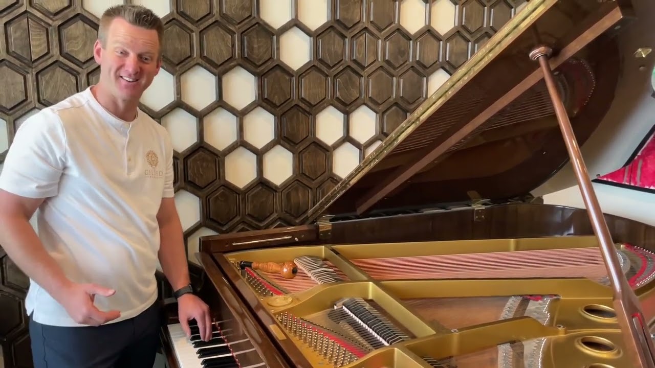 Rattling bass strings on a grand piano