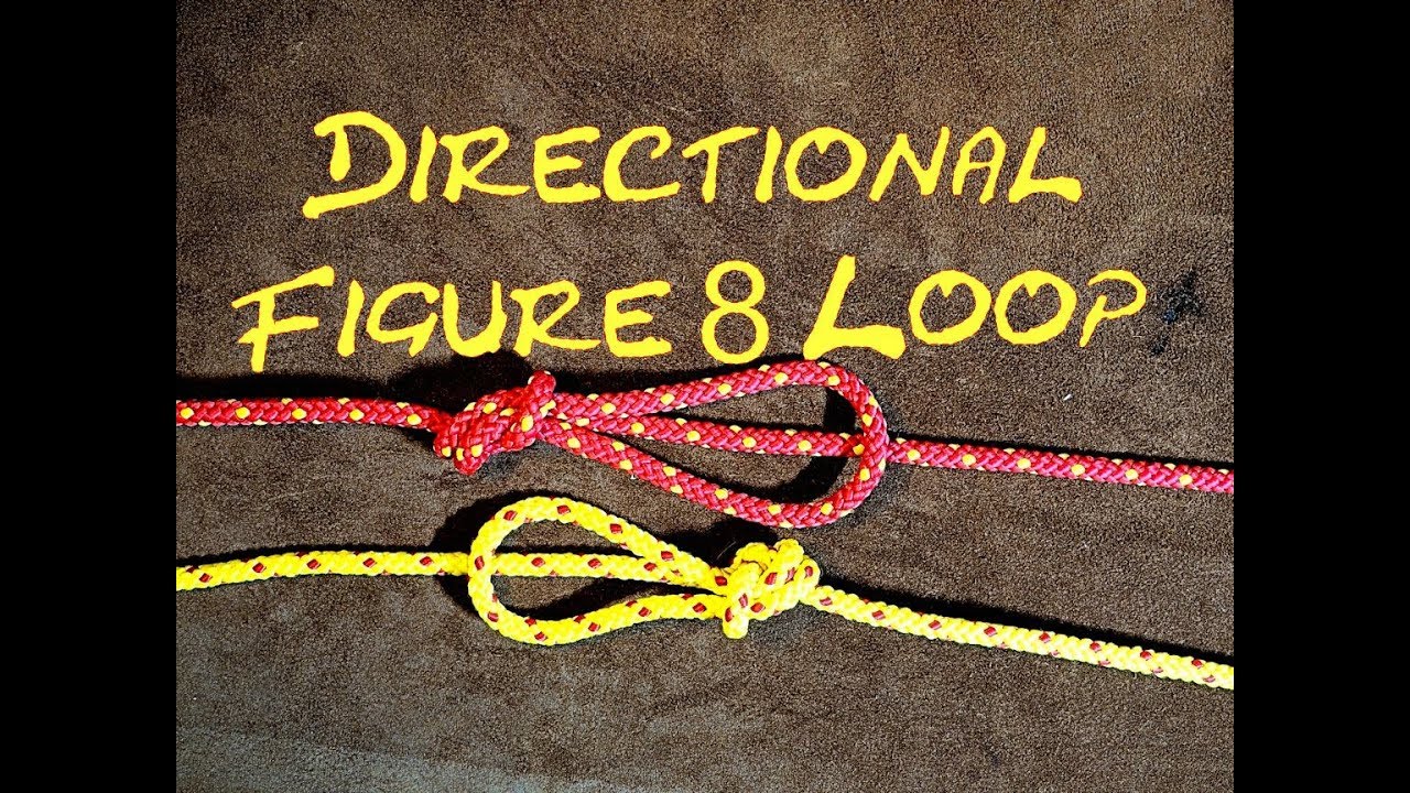 Directional Figure 8 Loop Inline Figure 8 Loop Single Bowline on the Bight