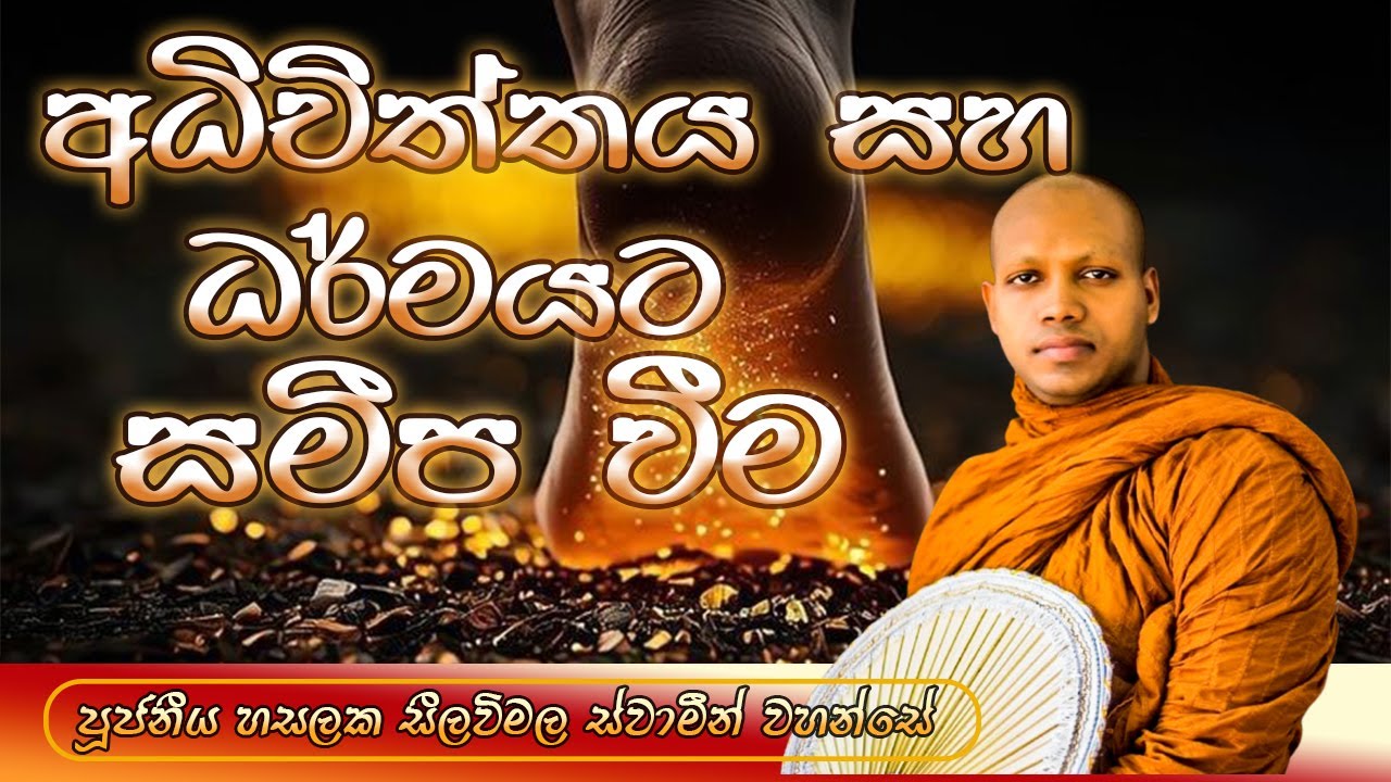 ‍අධිචිත්තය සහ ධර්මයට සමීප වීම | පූජ්‍ය හසලක සීලවිමල ස්වාමීන් වහන්සේ