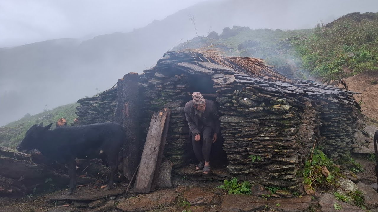 This Is the Most Beautiful Village Life During the Rainy Season | Beautiful Nature With Rural Life |
