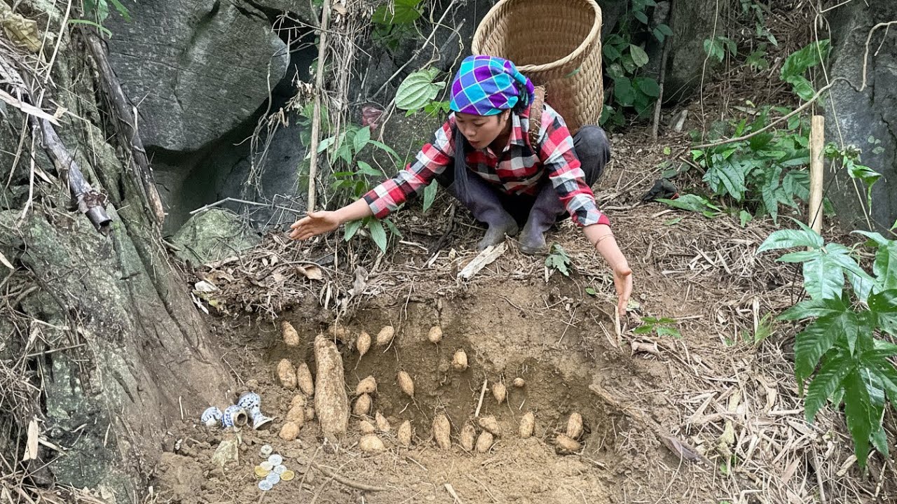 The poor girl was digging up wild taro when she discovered two strange jars.