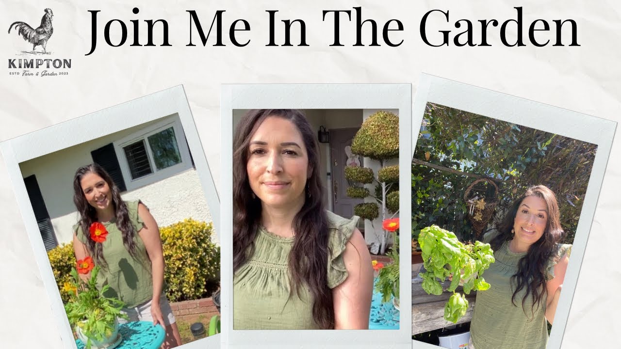 Garden Landscape Updates, Planting Beans, and more 🌿 ☕️