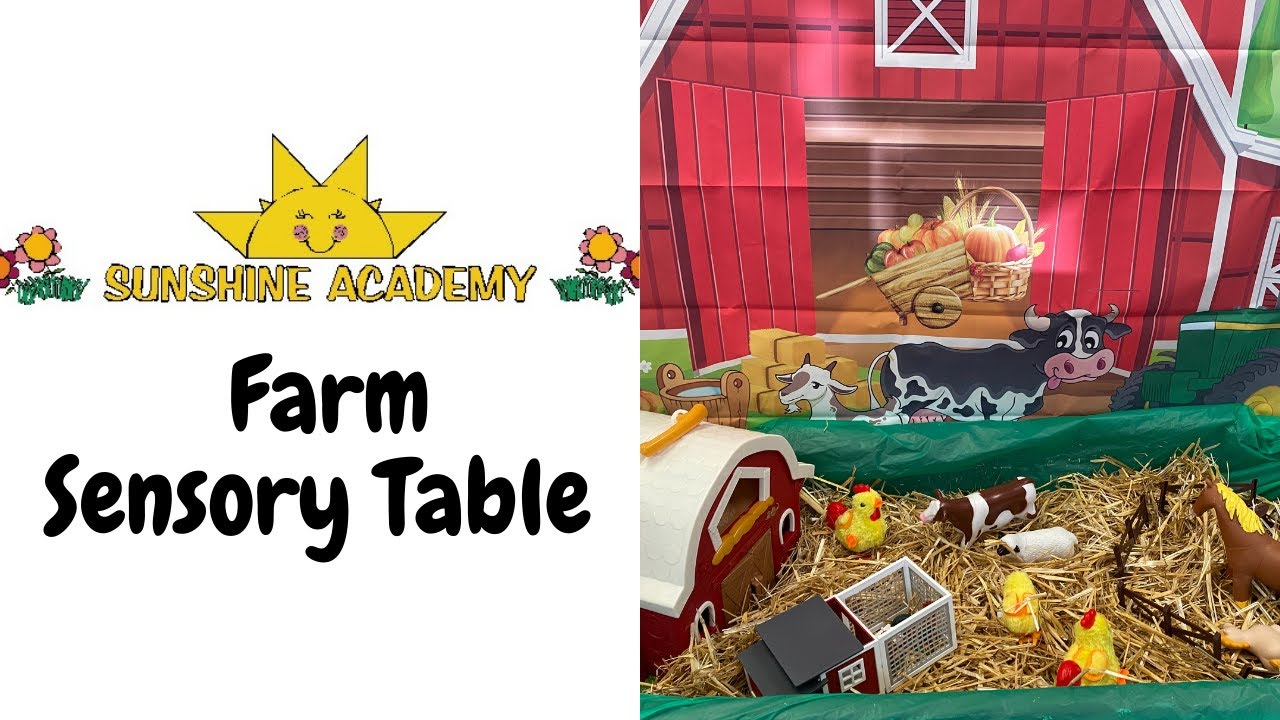 Sunshine Academy   Farm Sensory Table