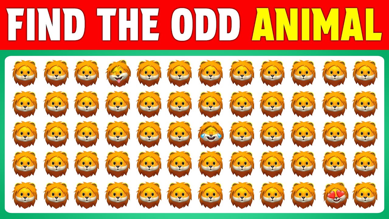 Find the ODD One Out | Animal Edition 🐢🐙 | Easy - Medium - Hard 🤔 | Quiz Know