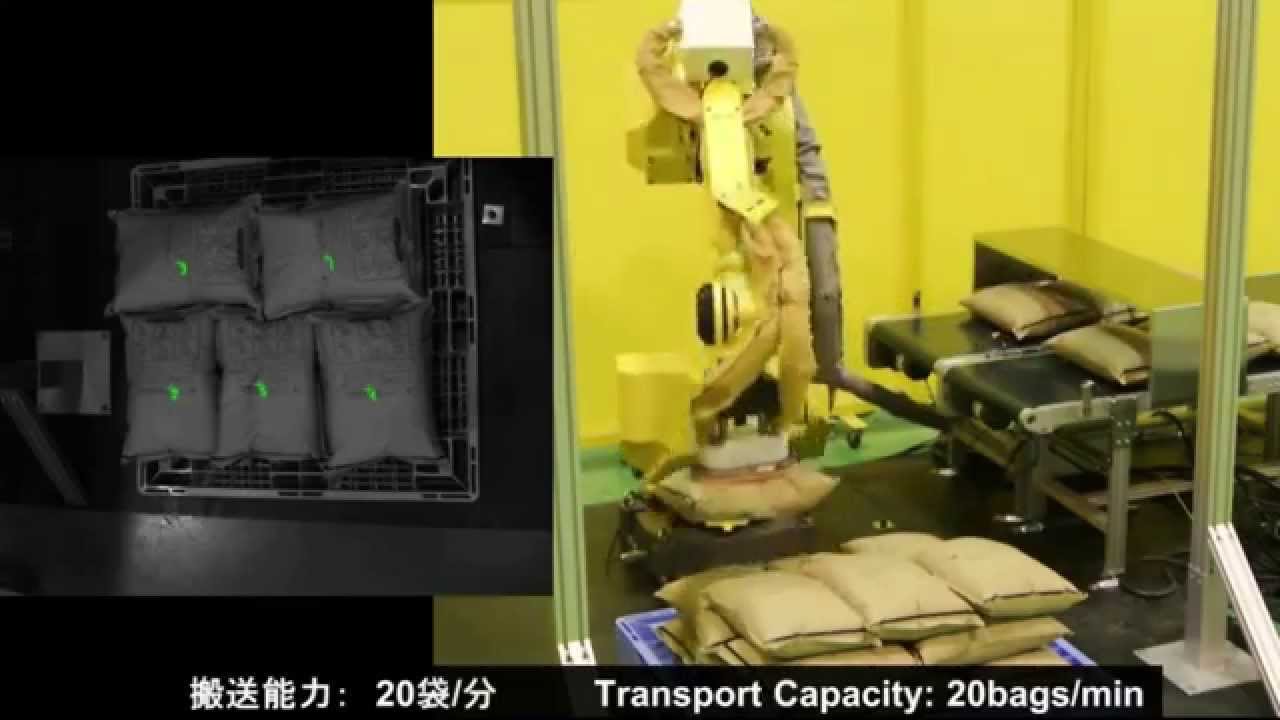 Bin Picking and Palletizing automation with 3D Area Sensor