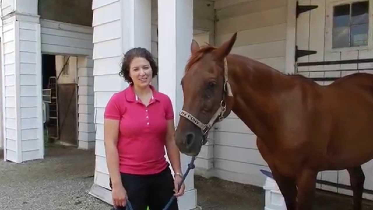 HOOF WRAPPING MADE EASY