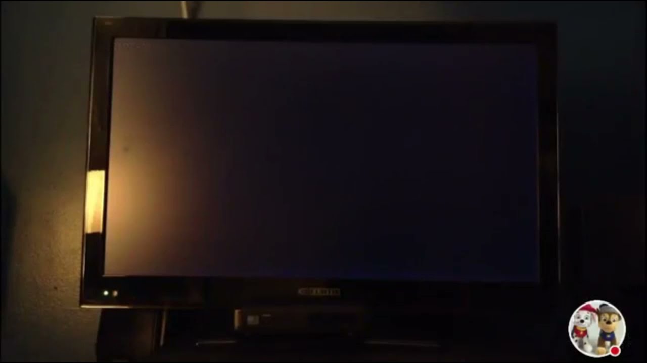 The Baby Einstein DVD Menu Screens Volume 1Mpgun com